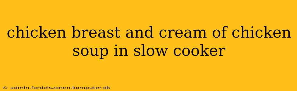 chicken breast and cream of chicken soup in slow cooker