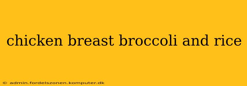 chicken breast broccoli and rice