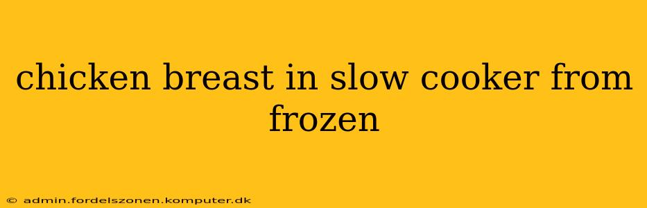 chicken breast in slow cooker from frozen