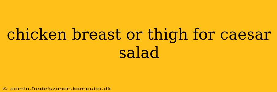 chicken breast or thigh for caesar salad
