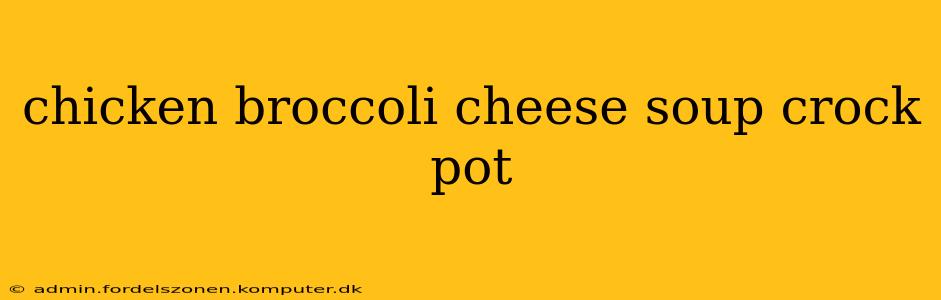 chicken broccoli cheese soup crock pot