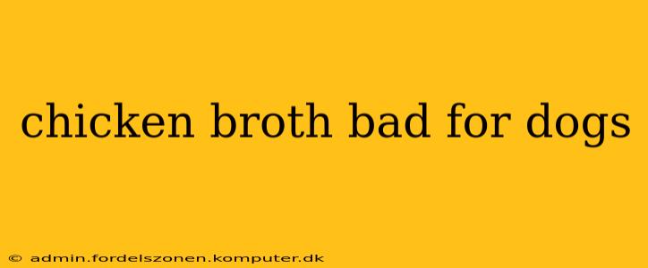 chicken broth bad for dogs