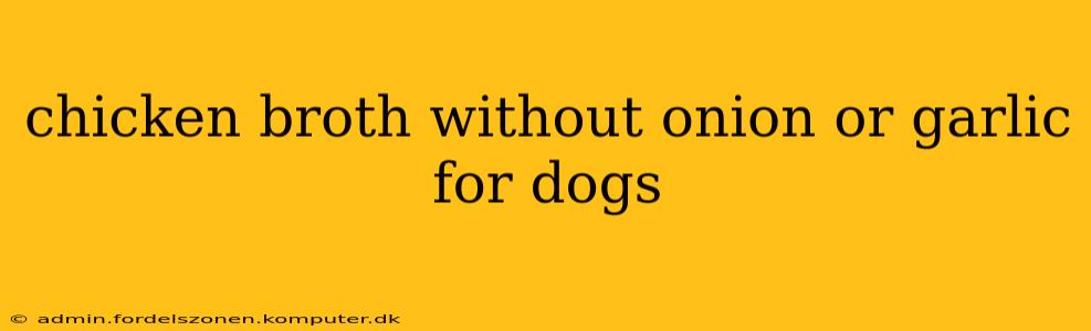 chicken broth without onion or garlic for dogs