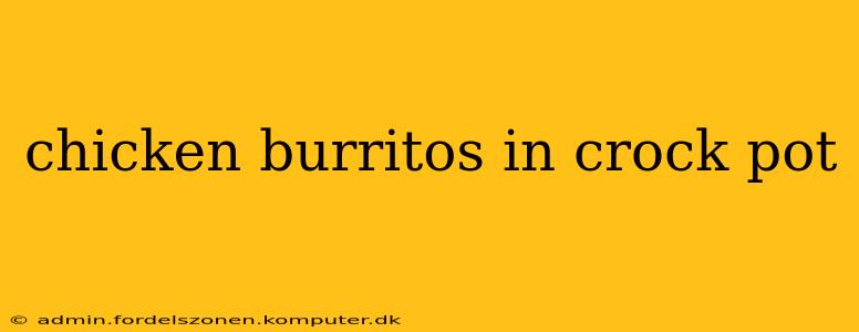 chicken burritos in crock pot