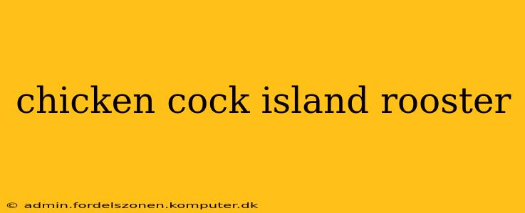 chicken cock island rooster