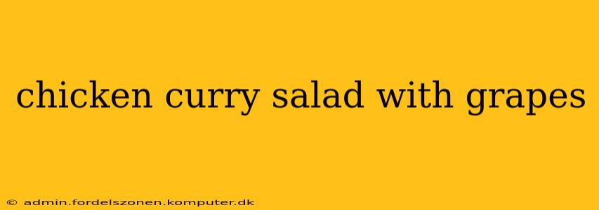 chicken curry salad with grapes