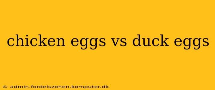 chicken eggs vs duck eggs