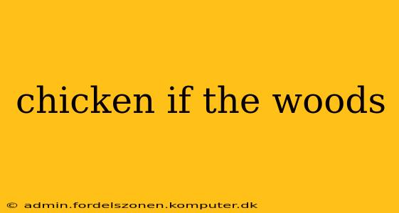 chicken if the woods