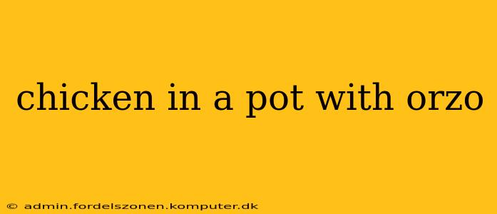 chicken in a pot with orzo