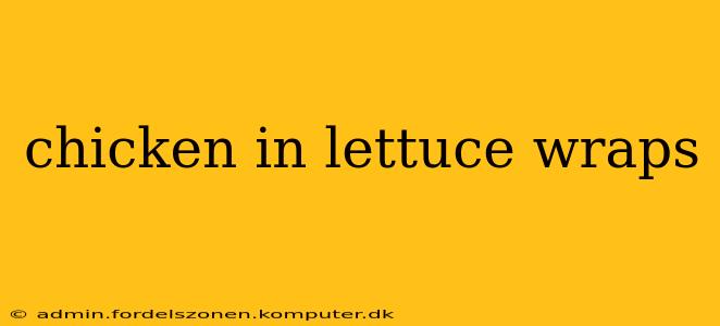 chicken in lettuce wraps
