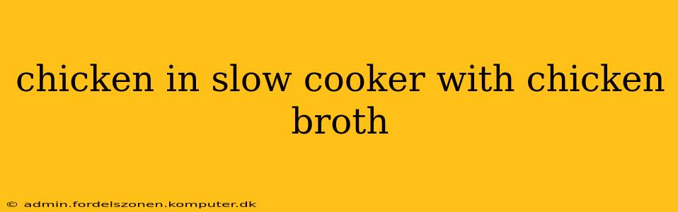 chicken in slow cooker with chicken broth