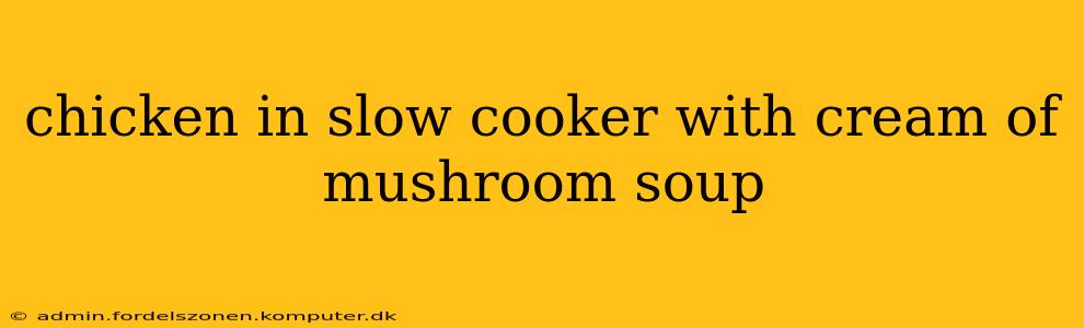 chicken in slow cooker with cream of mushroom soup