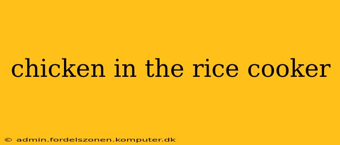 chicken in the rice cooker