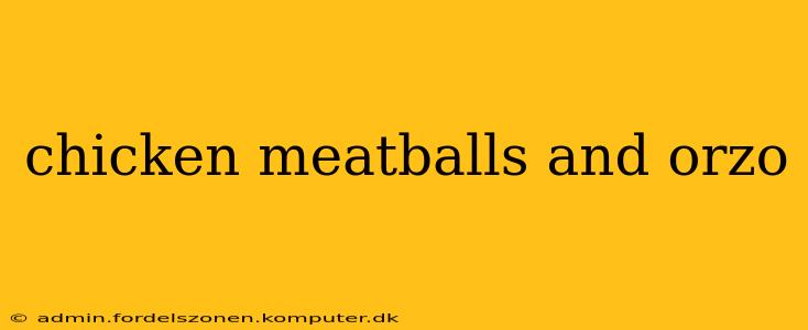 chicken meatballs and orzo