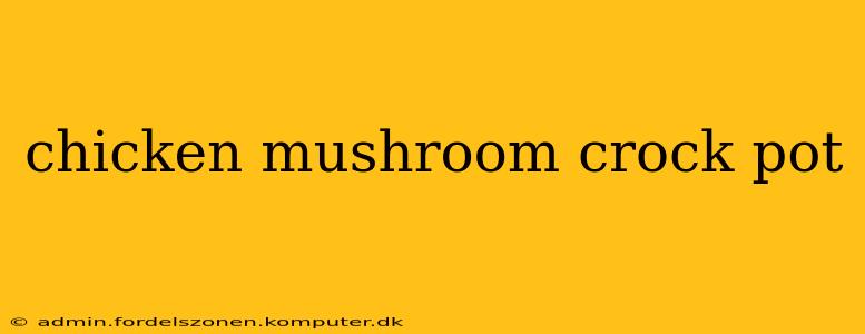 chicken mushroom crock pot