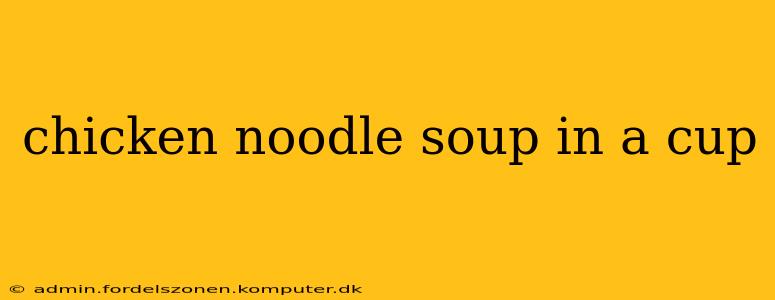 chicken noodle soup in a cup