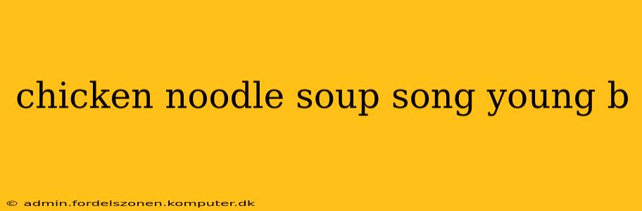 chicken noodle soup song young b