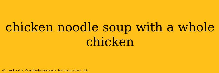 chicken noodle soup with a whole chicken
