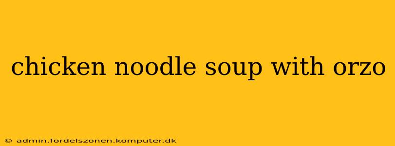 chicken noodle soup with orzo