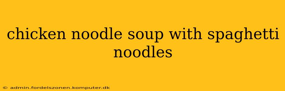 chicken noodle soup with spaghetti noodles