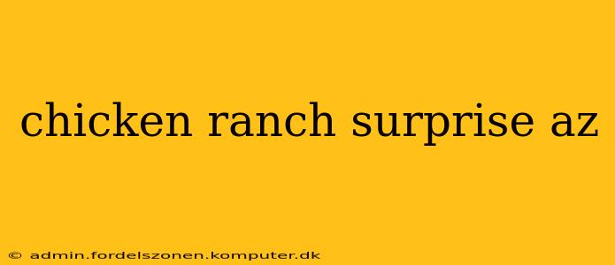 chicken ranch surprise az