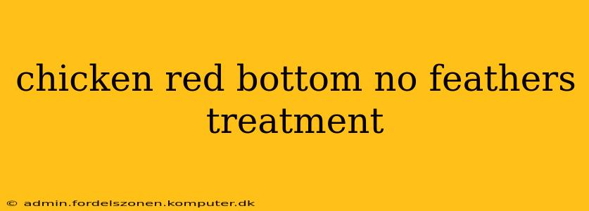 chicken red bottom no feathers treatment