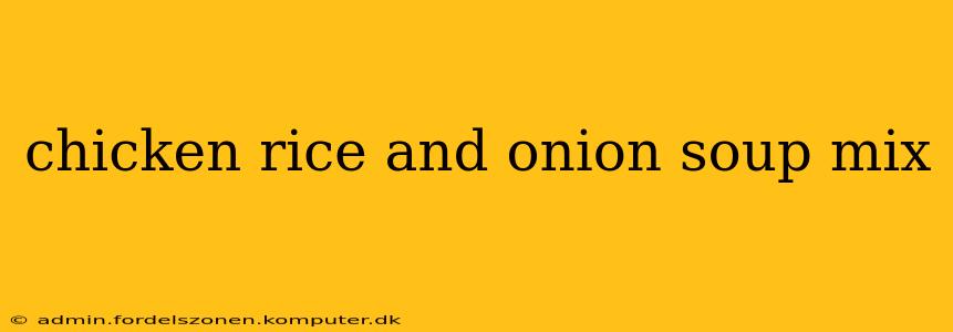 chicken rice and onion soup mix