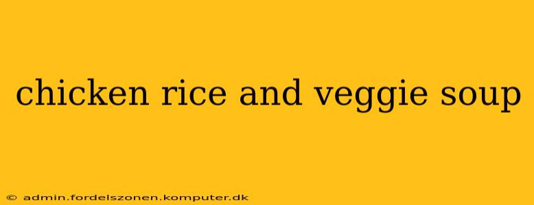 chicken rice and veggie soup
