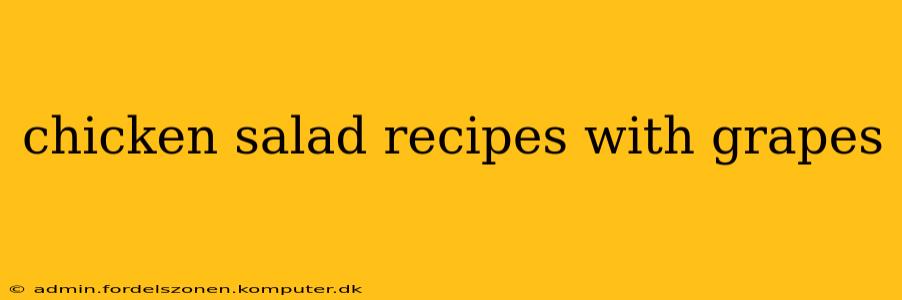 chicken salad recipes with grapes