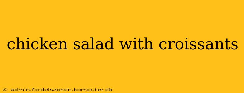 chicken salad with croissants