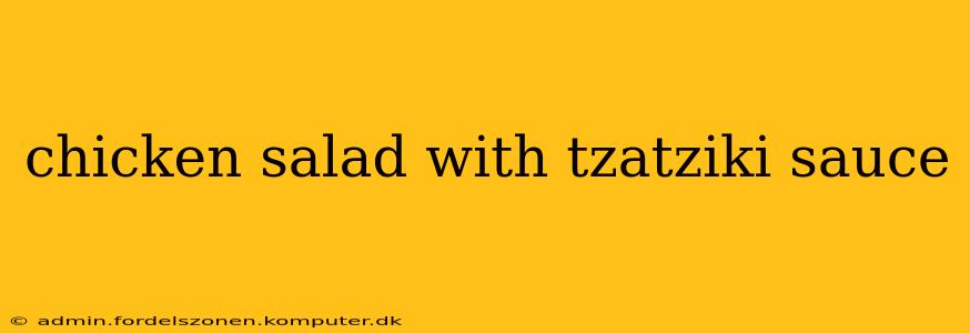 chicken salad with tzatziki sauce