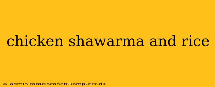 chicken shawarma and rice