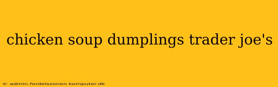 chicken soup dumplings trader joe's