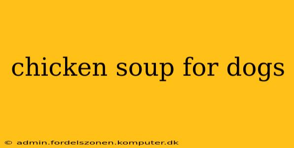 chicken soup for dogs