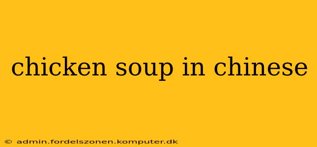 chicken soup in chinese