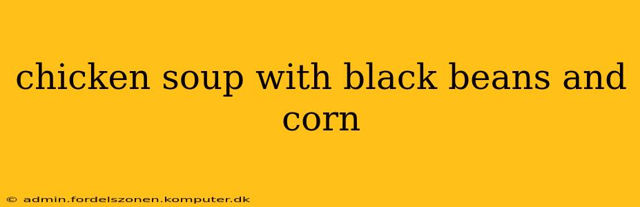 chicken soup with black beans and corn