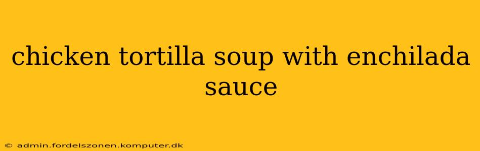 chicken tortilla soup with enchilada sauce