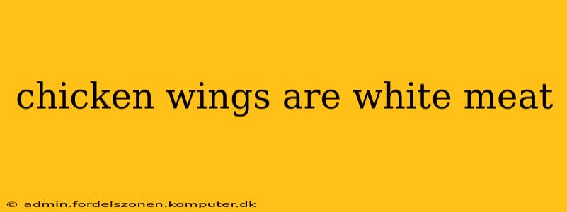 chicken wings are white meat