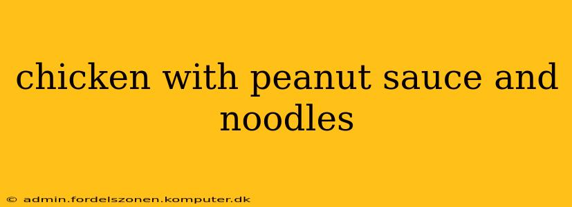 chicken with peanut sauce and noodles