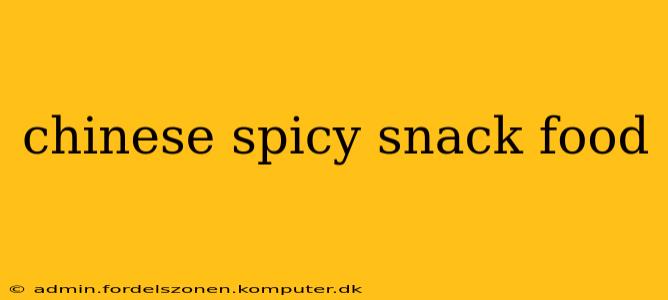 chinese spicy snack food