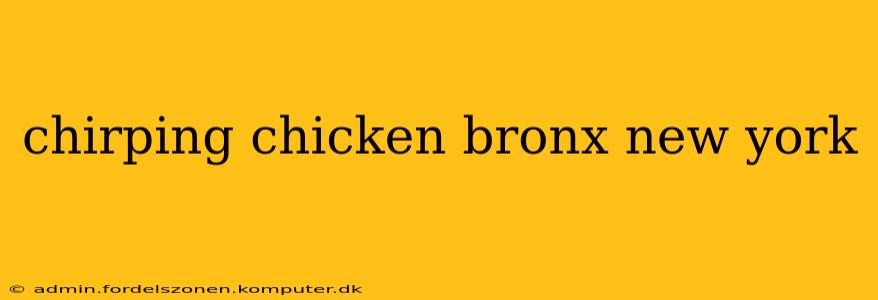 chirping chicken bronx new york