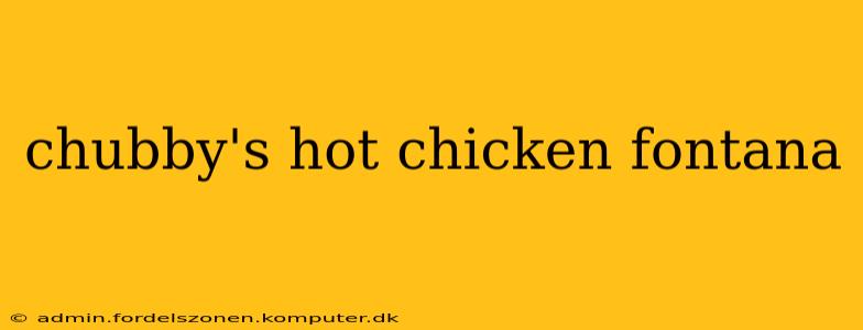 chubby's hot chicken fontana