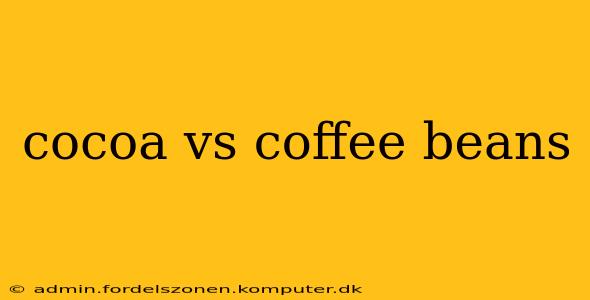 cocoa vs coffee beans