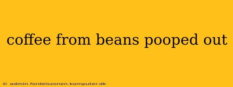 coffee from beans pooped out
