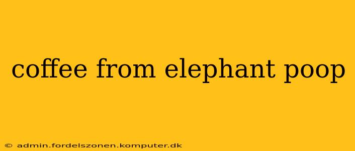 coffee from elephant poop