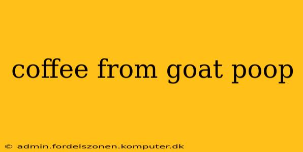 coffee from goat poop