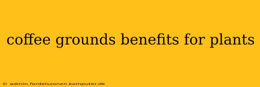 coffee grounds benefits for plants