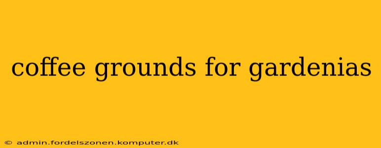 coffee grounds for gardenias
