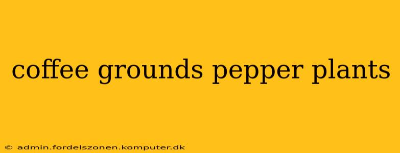 coffee grounds pepper plants