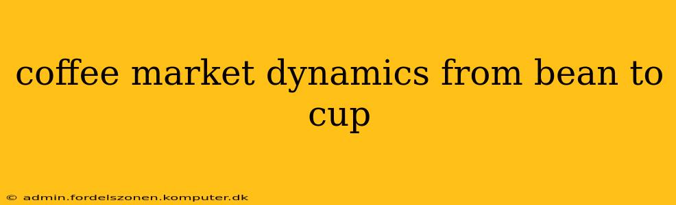 coffee market dynamics from bean to cup